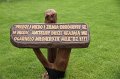 IMG_0557