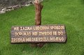 IMG_0578